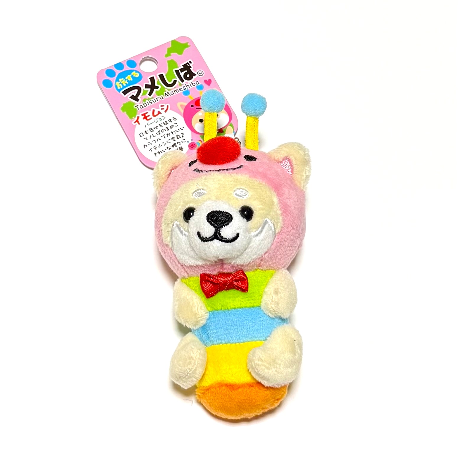 数量限定】旅するマメしば イモムシ(ピンク 青 緑) | 山陰物産 